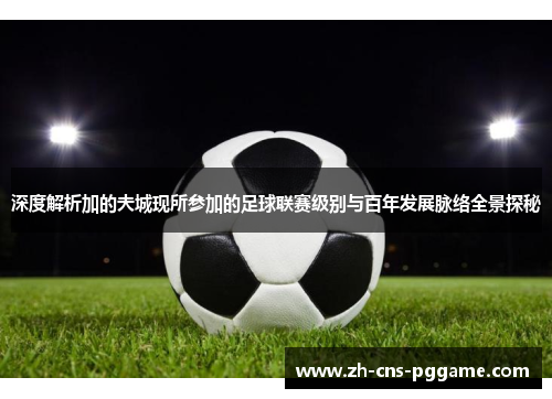 深度解析加的夫城现所参加的足球联赛级别与百年发展脉络全景探秘